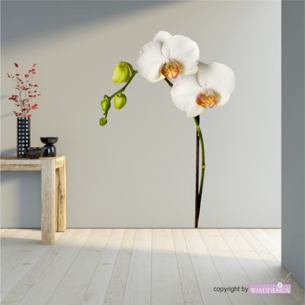 Wandtattoo Orchidee