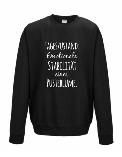 Sweatshirt Shirt Pullover Pulli Unisex Tageszustand Emotionale Stabilität einer Pusteblume